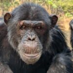 Когда можно увидеть июльское полнолуние