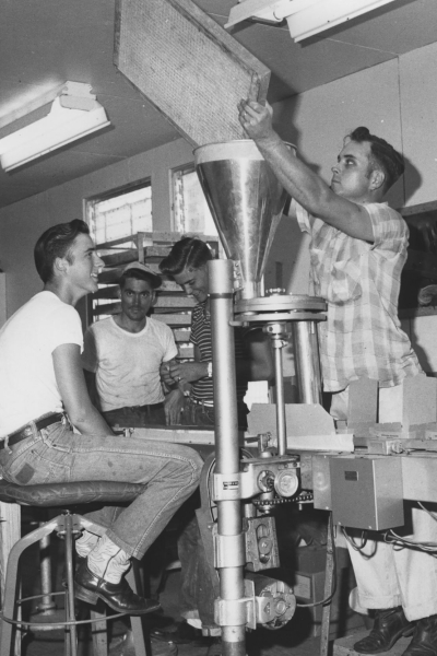 В США планируют разводить миллионы мух и сбрасывать их с самолетов. Вот почему 87 The US has a plan to breed millions of flies and drop them from planes. Here’s why