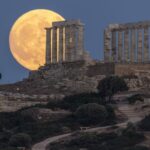 Исследование показывает, что это касается не только людей – шимпанзе тоже любят следить за тенденциями