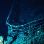 Шок! Кислый океан оставляет «отпечаток» на зубах акул — ученые в ужасе от изменений