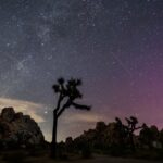 Скандал вокруг марсианского метеорита: Нигер начал расследование после громкой продажи на аукционе Sotheby’s