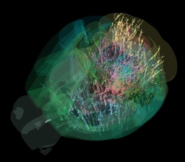Учёные раскрыли шокирующую карту мозга