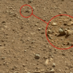 Учёные раскрыли шокирующую карту мозга, объясняющую, как мы принимаем решения — и это меняет всё!