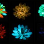 Хаббл» показал шокирующие детали межзвездной кометы — вы не поверите своим глазам!