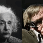 Учёные раскрыли шокирующую карту мозга, объясняющую, как мы принимаем решения — и это меняет всё!