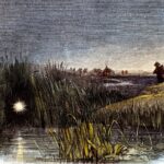 Метеорный поток Орионид достиг пика на этой неделе — что нужно знать прямо сейчас