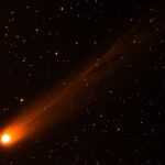 Татуировки в Чикаго и США — история, развитие и современные тенденции