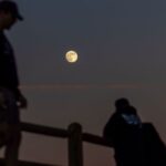 На кадрах с беспилотником, снятых в Мексике, видно, как косатки охотятся на больших белых акул, чтобы съесть их печенье.