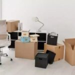 Новая Зеландия заявила, что собирается искоренить одичавших кошек