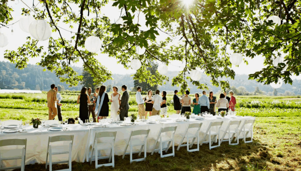 Проведение свадьбы - советы по выбору места и организации