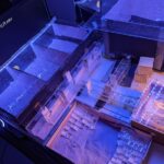 На кадрах с беспилотником, снятых в Мексике, видно, как косатки охотятся на больших белых акул, чтобы съесть их печенье.