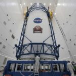 Модели эмбрионов, выращенных в лабораторных условиях, становятся все более реалистичными. Ученые все больше беспокоятся