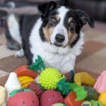 Экипаж НАСА совершает редкое досрочное возвращение после проблем с выходом в космос